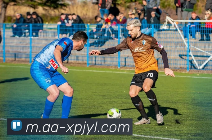 新葡京娱乐APP 封面图